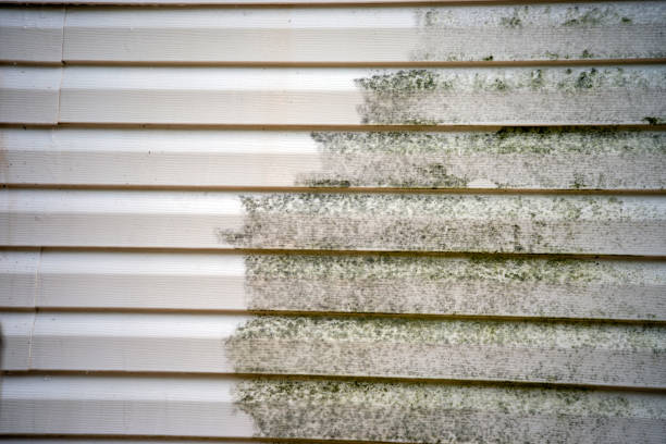 Best Construction Debris Removal  in Earlington, KY